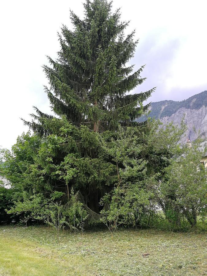 Sport'Hotel - Residence De Milan Le Bourg-dʼOisans Esterno foto